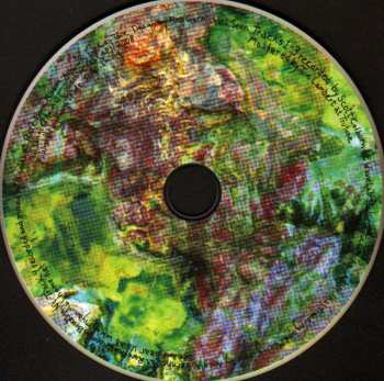 CD Animal Collective: Water Curses DIGI 566505