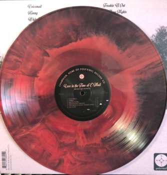 LP Antarctigo Vespucci: Love in the Time of E-mail CLR | LTD 582925