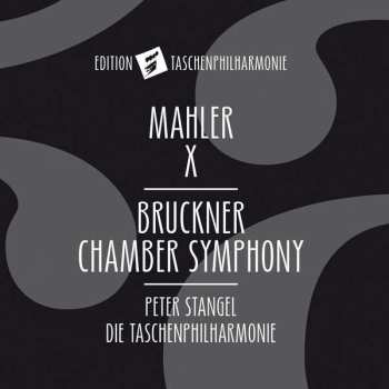 CD Gustav Mahler: Mahler X - Bruckner Chamber Symphony 380317