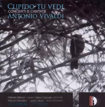 Cupido Tu Vedi (Concerti E Cantate)