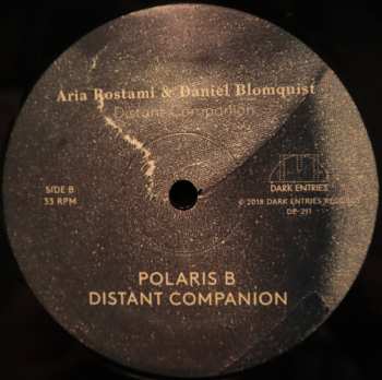 LP Aria Rostami: Distant Companion 571453