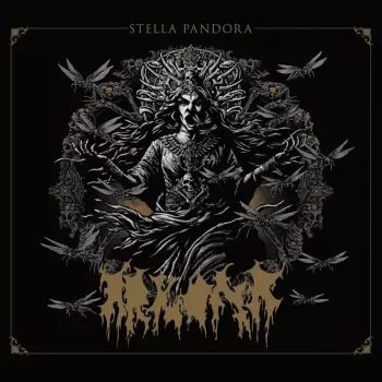 Stella Pandora