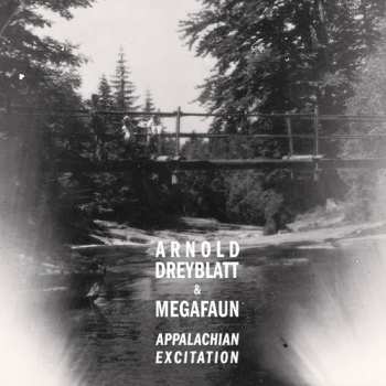 Album Arnold Dreyblatt: Appalachian Excitation