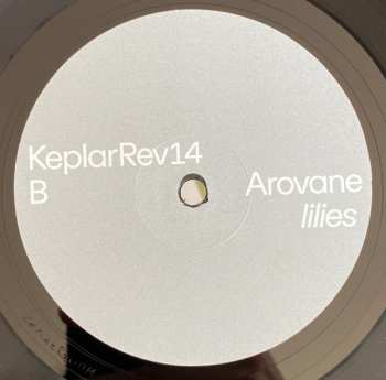 LP Arovane: Lilies 595148