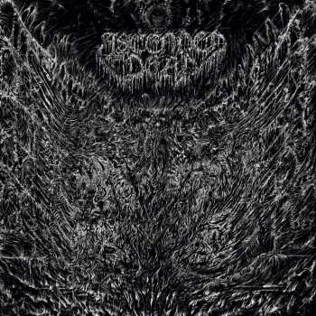 LP Ascended Dead: Evenfall Of The Apocalypse CLR 501357