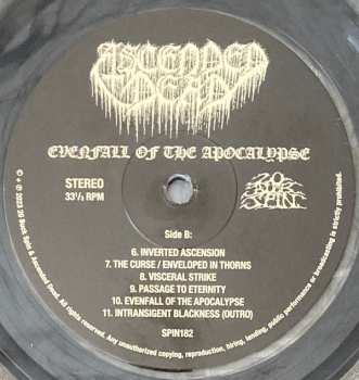 LP Ascended Dead: Evenfall Of The Apocalypse CLR 501357