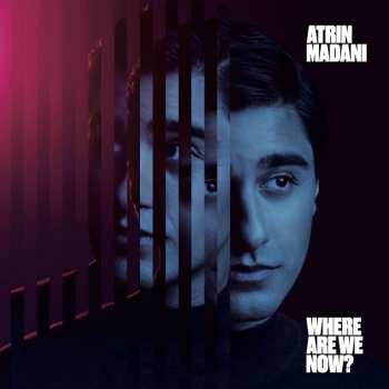 LP Atrin Madani: Where Are We Now? 540945