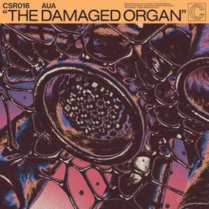 CD AUA: The Damaged Organ 104534