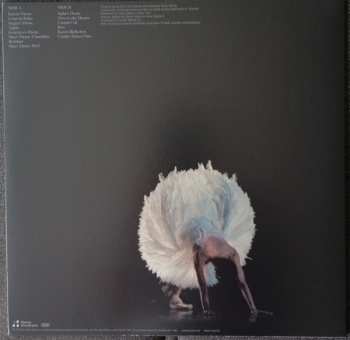 LP Austra: Swan Song 604884