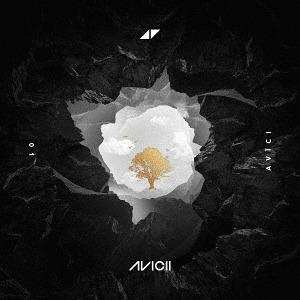 CD Avicii: Without You LTD 623002