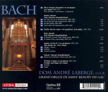 CD Johann Sebastian Bach: Organ Works 659272