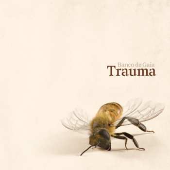 Album Banco De Gaia: Trauma