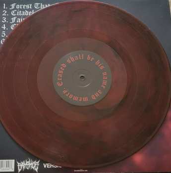 LP Banshee: FAIRY METAL LTD 655558