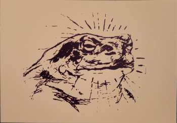 2LP Bardo Pond: Bufo Alvarius CLR 640389