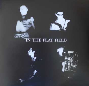 LP/CD Bauhaus: In The Flat Field 591311