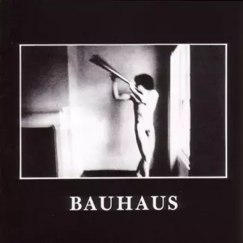 Bauhaus: In The Flat Field