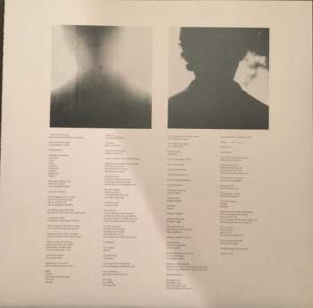 2LP Beach Fossils: Clash The Truth + Demos DLX | LTD | CLR 150593