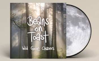 Beans On Toast: Wild Goose Chasers