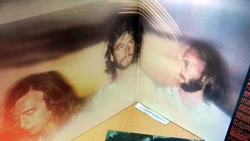 LP Bee Gees: Spirits Having Flown 630107