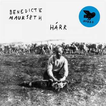 LP Benedicte Maurseth: Hárr 649229