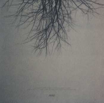 LP Benoit Pioulard: Lasted 81803