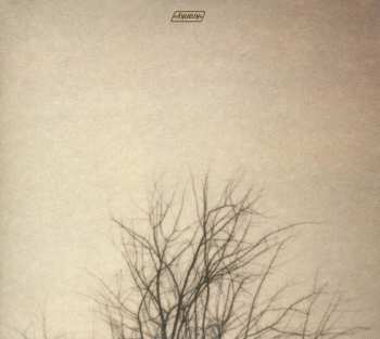 CD Benoit Pioulard: Lasted 589621