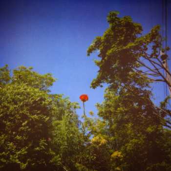 Album Benoit Pioulard: Sonnet