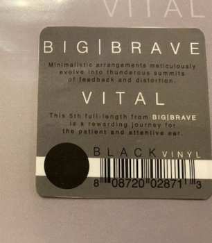 LP Big Brave: Vital 613673