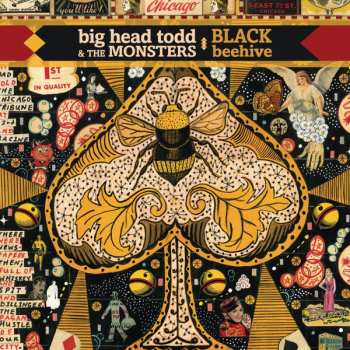 Album Big Head Todd And The Monsters: Black Beehive