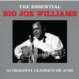 Album Big Joe Williams: The Essential