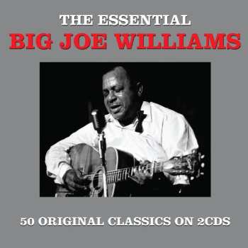 2CD Big Joe Williams: The Essential 606628