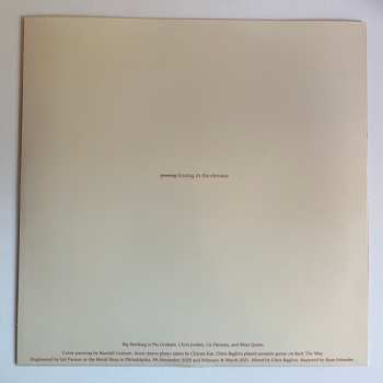 LP Big Nothing: Dog Hours CLR | LTD 579145