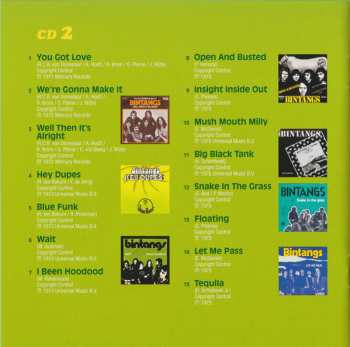 2CD Bintangs: The Golden Years Of Dutch Pop Music (A&B Sides 1965-1982) 306794