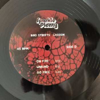 2LP Bird Streets: Lagoon 576377