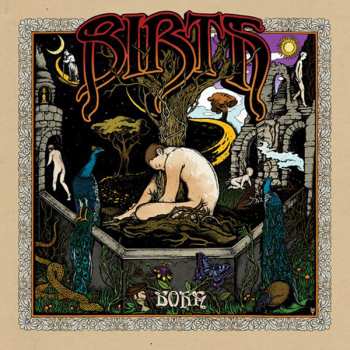 LP Birth: Born CLR | LTD 557513