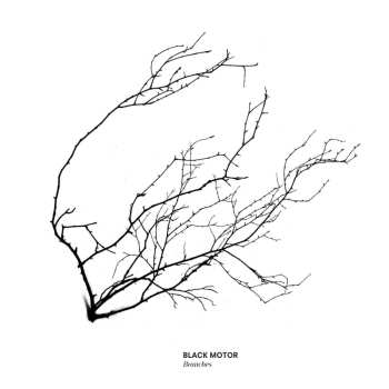 CD Black Motor: Branches 536462