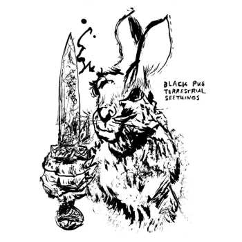 Album Black Pus: Terrestrial Seethings