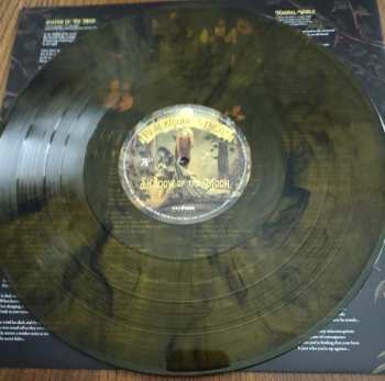 2LP/DVD/SP Blackmore's Night: Shadow Of The Moon CLR | LTD 632228