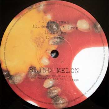 2LP Blind Melon: Blind Melon 651746