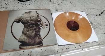 LP Bloodlines: Hevel CLR | LTD 599896