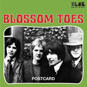 SP Blossom Toes: Postcard 595145