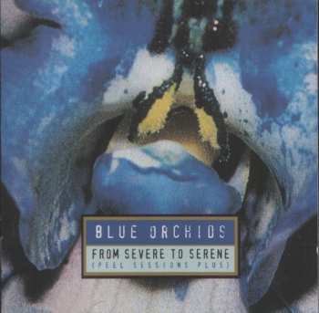 Album Blue Orchids: From Severe To Serene (Peel Sessions Plus)