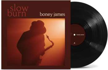 LP Boney James: Slow Burn 646930