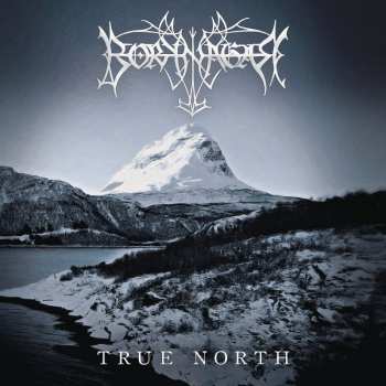 CD Borknagar: True North 37435