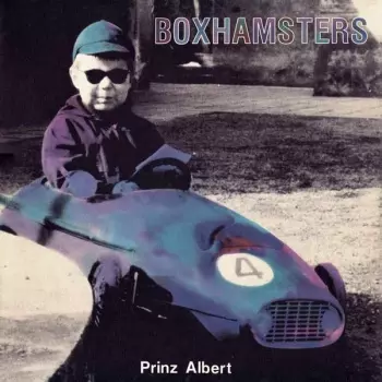 Boxhamsters: Prinz Albert