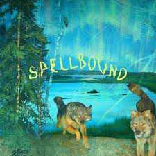 Album Boyscott: Spellbound