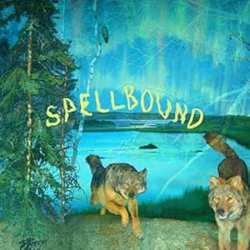 CD Boyscott: Spellbound 626558