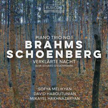 CD Brahms: Piano Trio No. 1 Schoenberg: Ve 626040