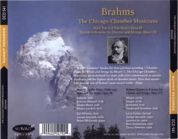 CD Johannes Brahms: Brahms 545786