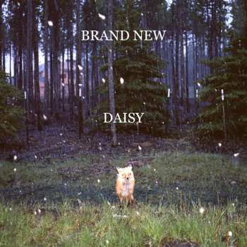 Brand New: Daisy